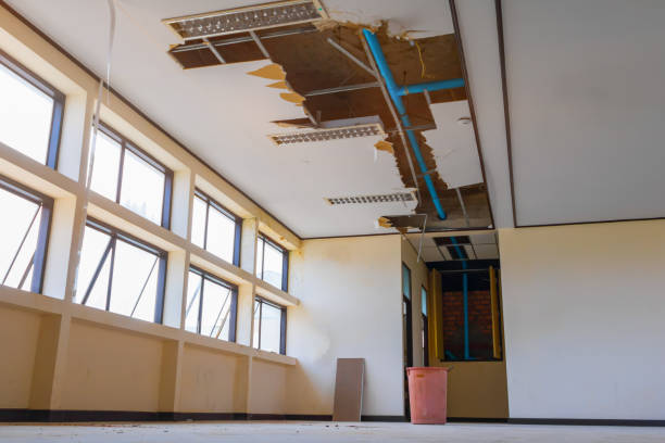 Best Flood damage cleanup  in Sweetser, IN