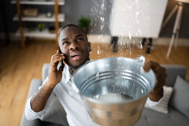 Best Flood restoration services  in Sweetser, IN
