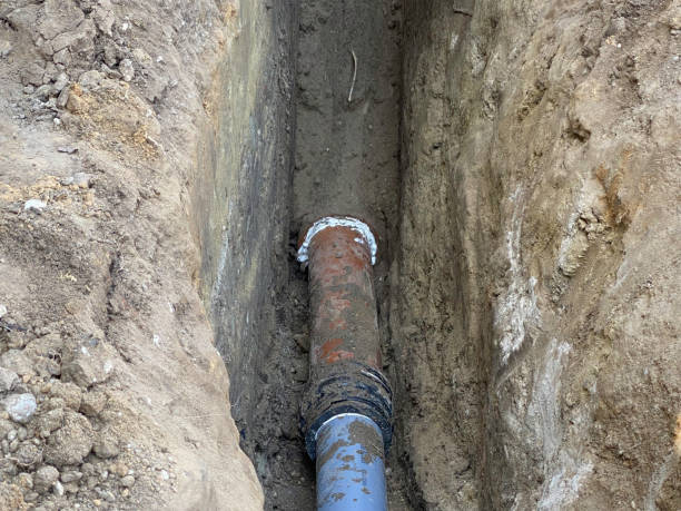 Best Professional water damage repair  in Sweetser, IN