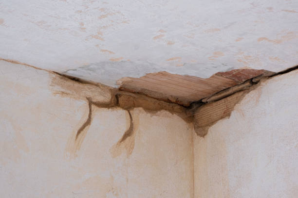 Best Commercial water damage restoration  in Sweetser, IN