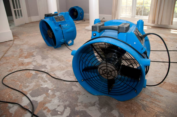 Best Residential water damage restoration  in Sweetser, IN