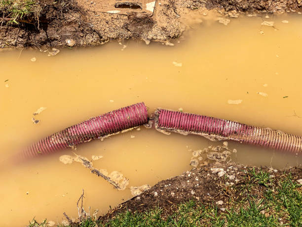 Best 24/7 water damage repair  in Sweetser, IN