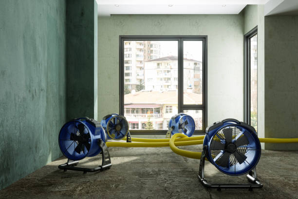 Best Carpet water damage restoration  in Sweetser, IN